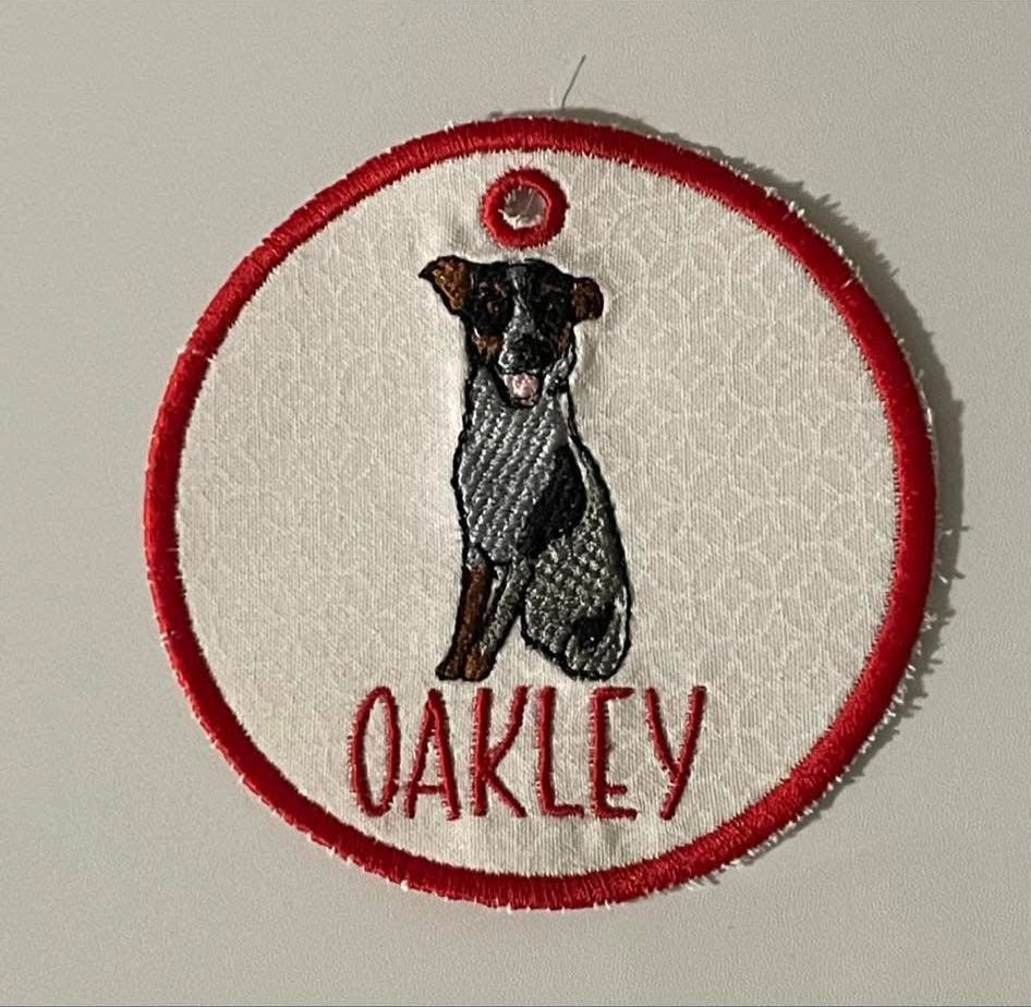 Custom Digitized Full Color Picture